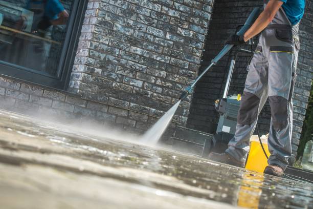 Best Roof Cleaning and Mildew Removal in La Junta, CO
